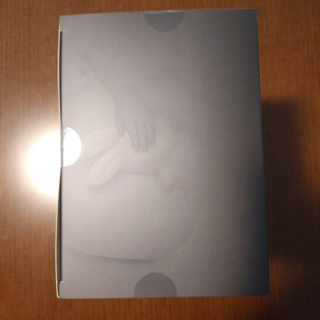 ジム・オルーク/ユリイカ　 とろろ園（友沢こたお+友沢ミミヨ） フィギュア