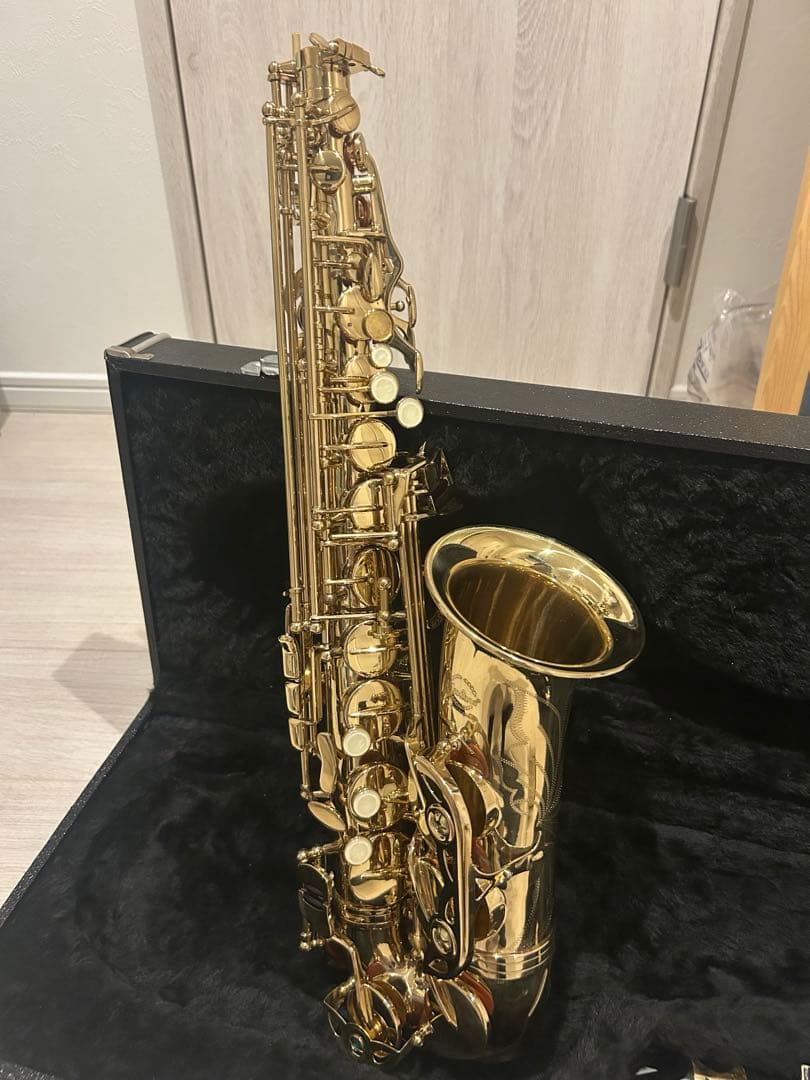 アルトサックス本体 ケース付き