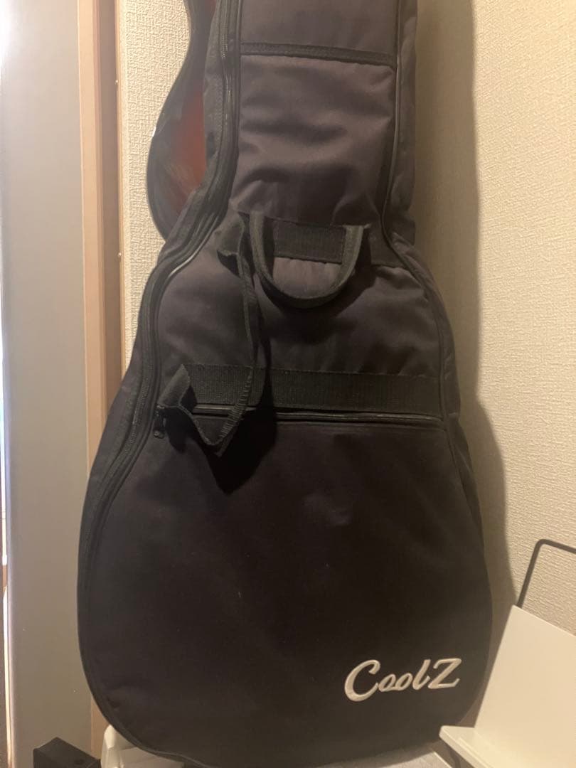 coolz ストラトタイプ　ZST-M1R 【ミディアムスケール】