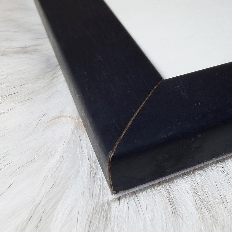 限定品！額装済/The Blue Sofa（ミヒャエル ゾーヴァ）/ポスター