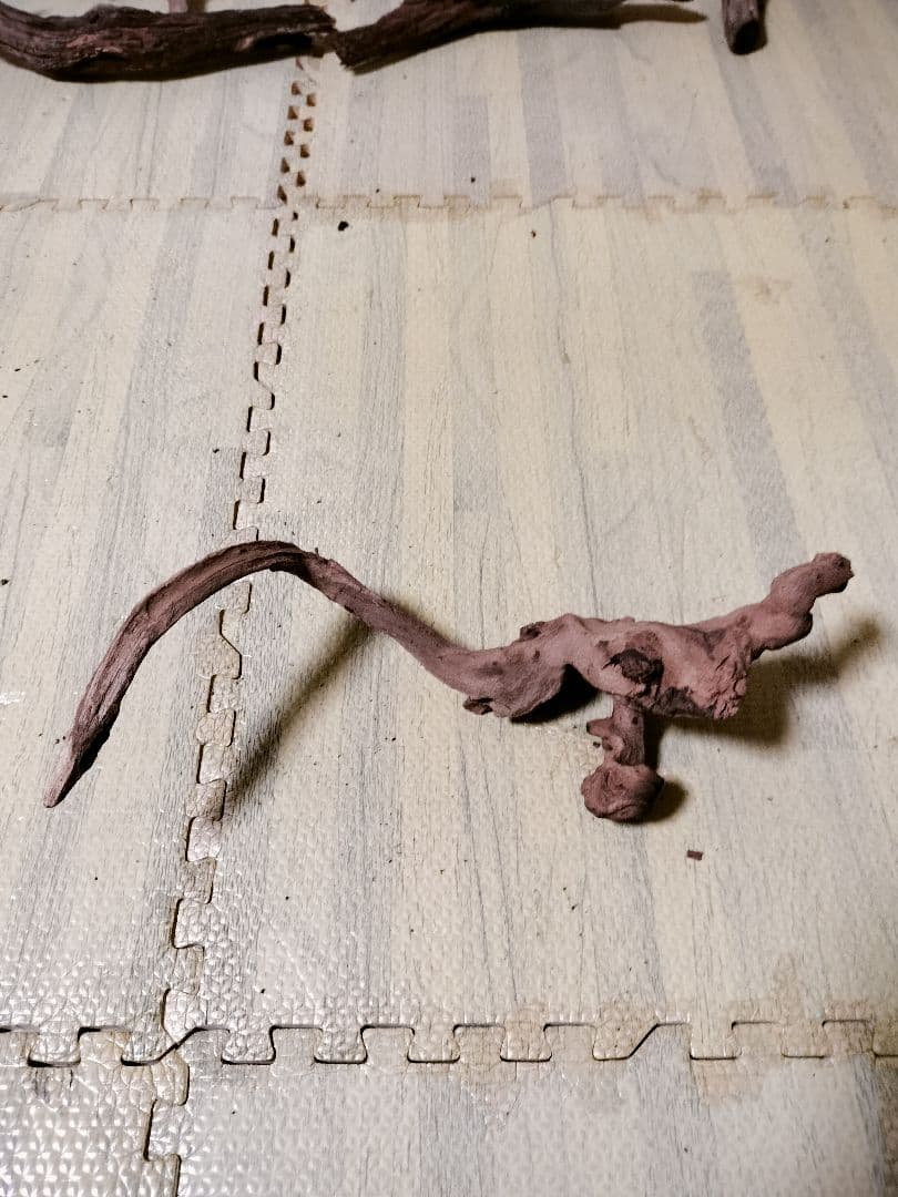 わ*ち様 水槽用流木 複数セット ホーンウッド ブランチウッド