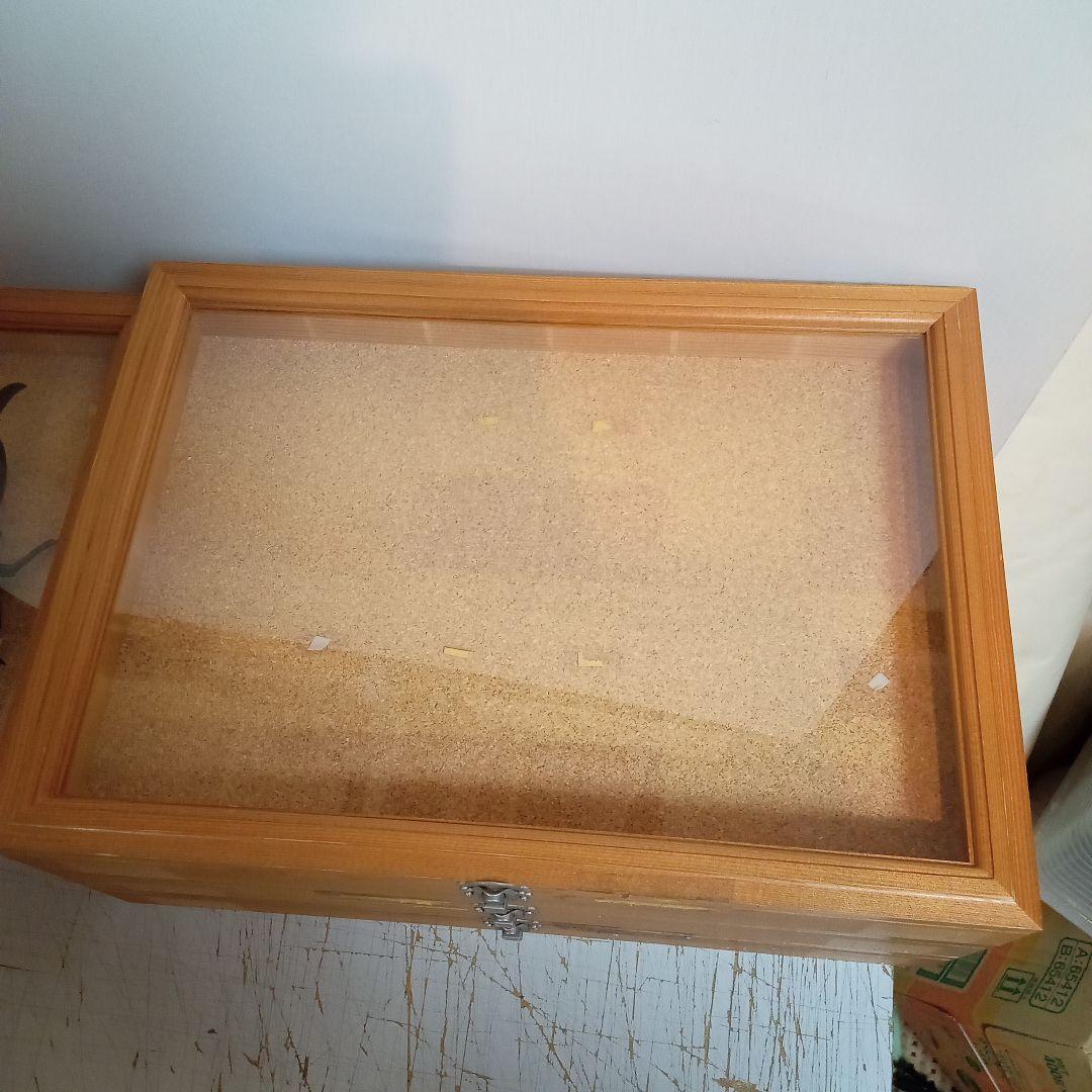 木製昆虫標本箱　５個セット
