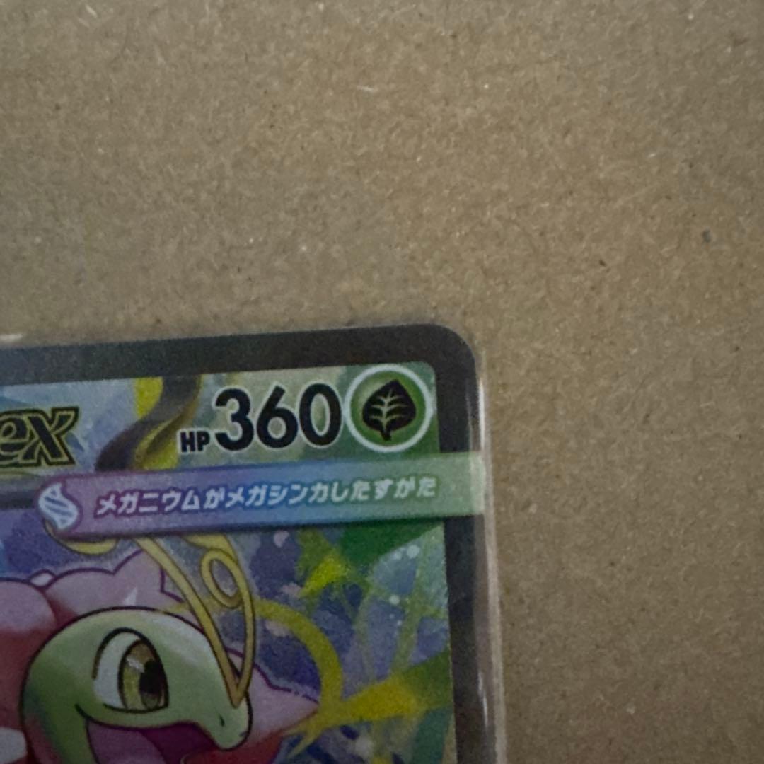 メガエンブオーEX・オーダイルEX・メガニウムEX 3枚セット