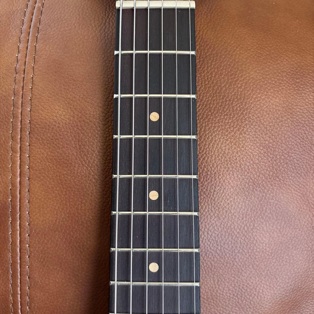 Ibanez EWP14WB-OPN ピッコロギター