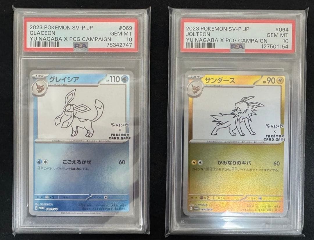 サンダース グレイシアyu nagaba 長場雄