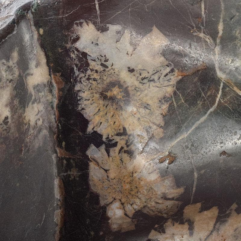 天然石　鑑賞石　菊花石　置物　重さ約1370g　V　R8681