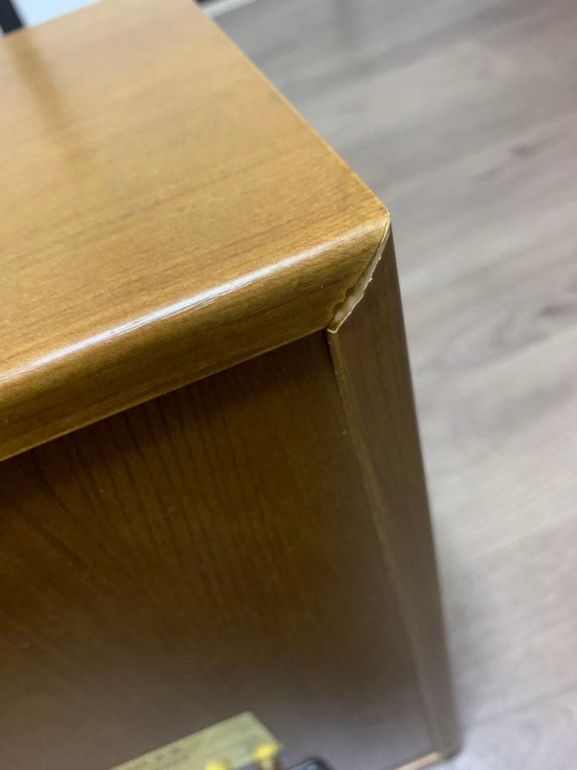 DIATONE DS-200ZX スピーカー