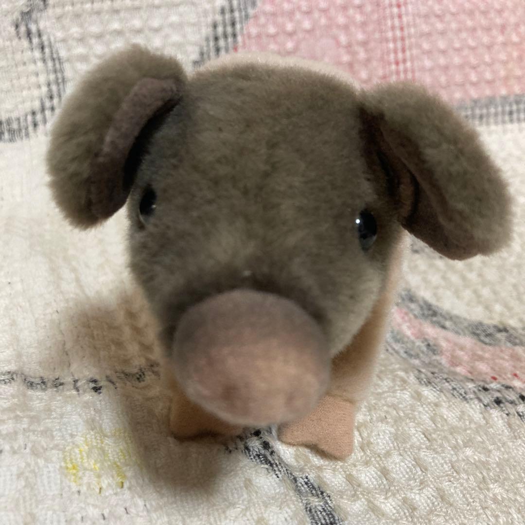 kosen ケーセン　ぬいぐるみ 豚　ぬいぐるみ　中古品　①
