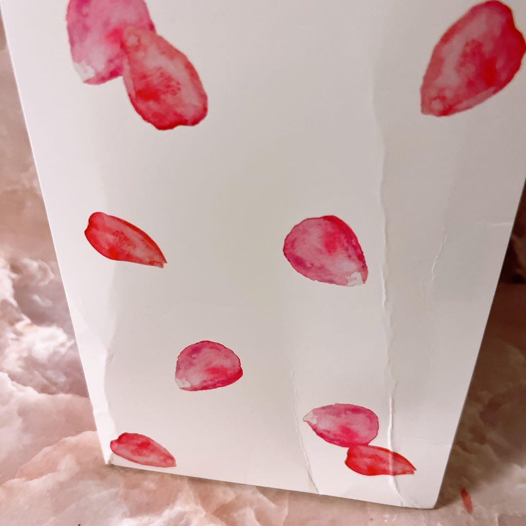 ☆ レメルヴェイユーズラデュレ 6THアニバーサリーローズラデュレ101 ケース