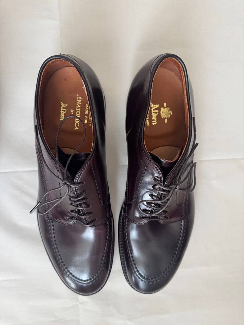 新品 ALDEN オールデン 5610 Anatomica コードバン8D