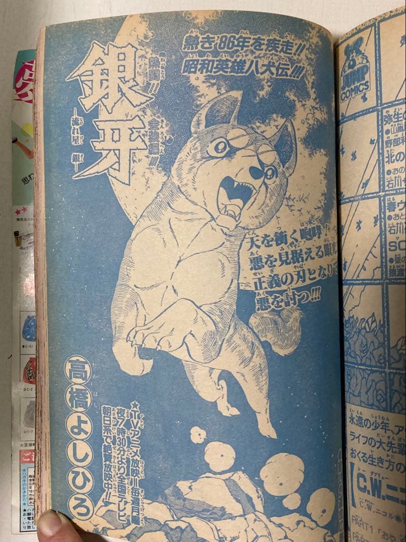 週刊少年ジャンプ 1986 25号ドラゴンボールカラーページ　北斗の拳　2色刷