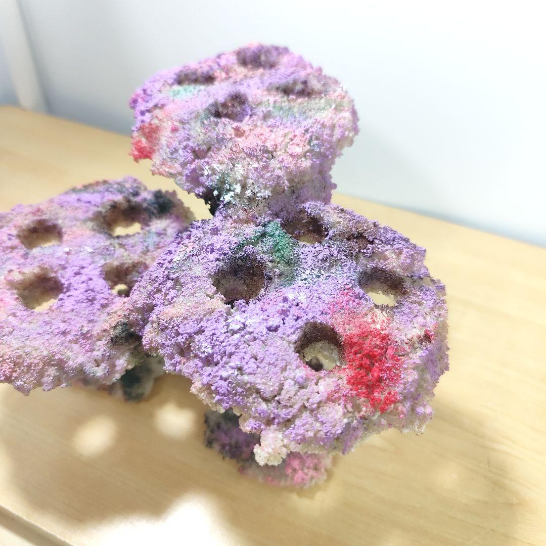 プラグ穴付き アク抜き不要人工ライブロック 海水水槽 レプリカ コーラルフラグ4