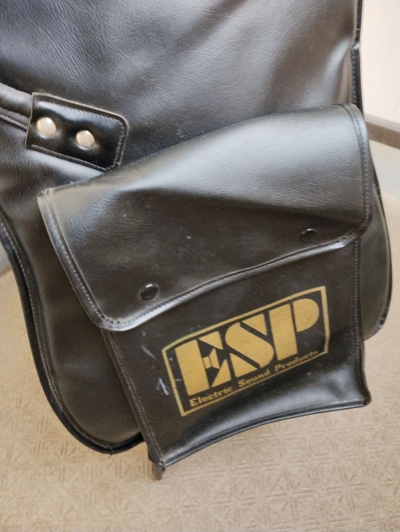 ハ*キ様 GlassRoots Seymour Duncan ロックペグ 搭載