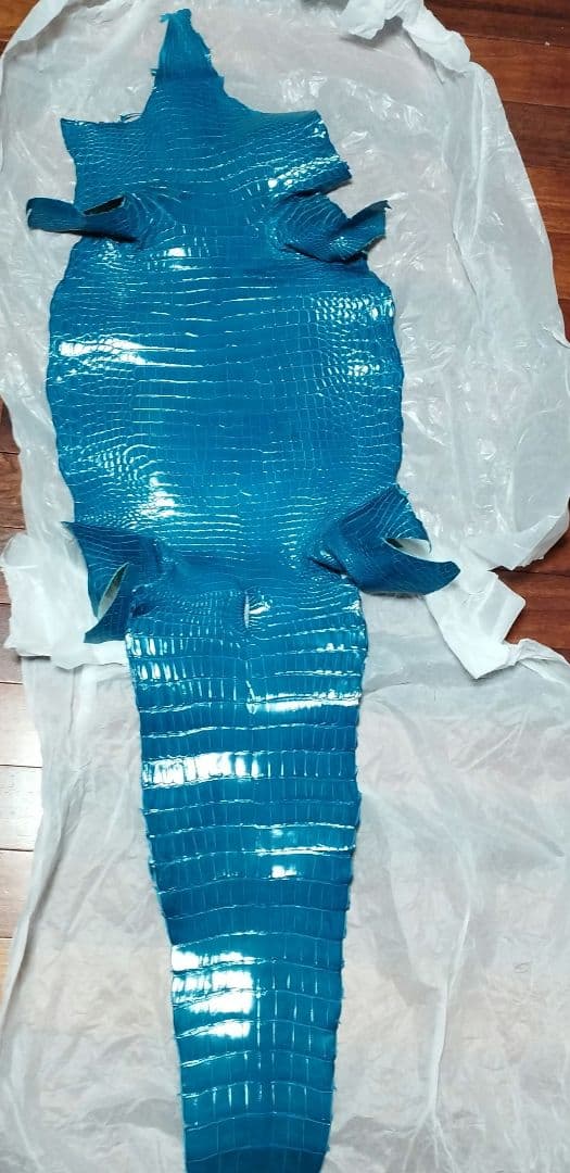 クロコダイル　皮革　ポロサス　ターコイズブルー　1枚