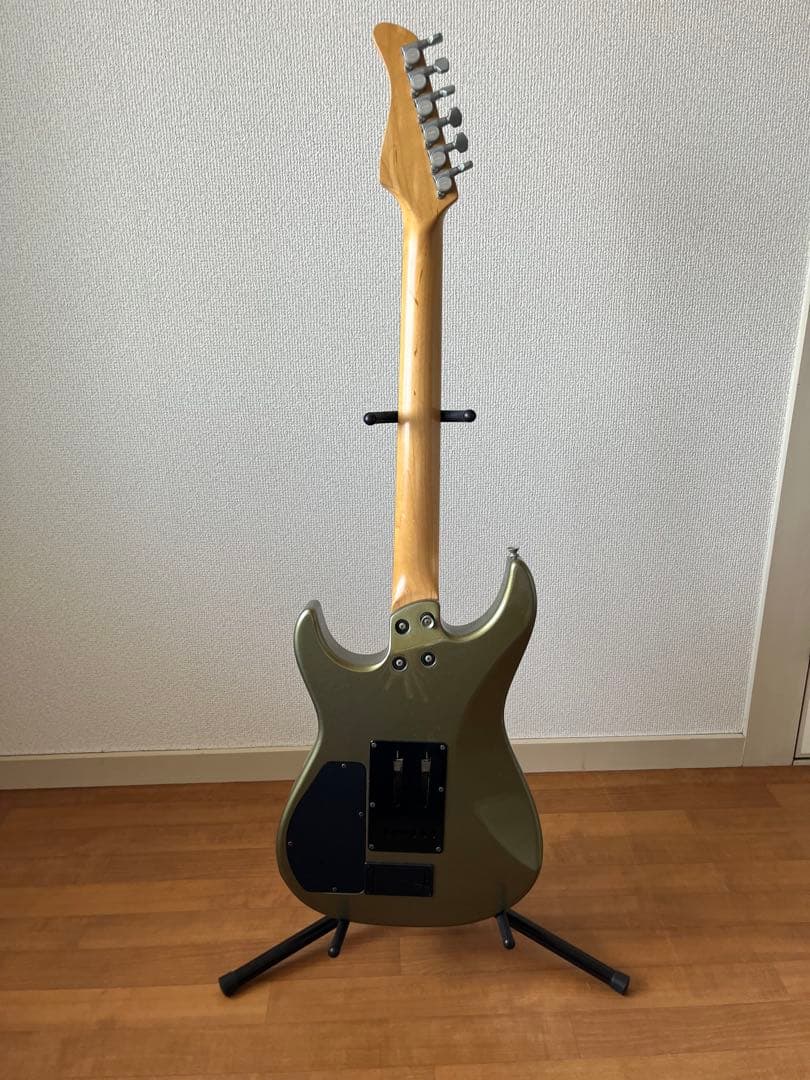 フェルナンデス　サスティナー　FGZ-650S