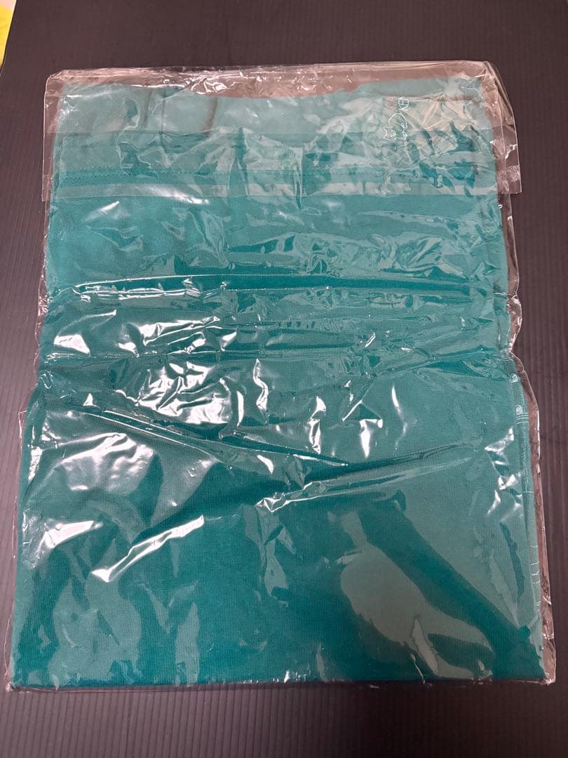 米津玄師　帰りの会・続編　犬と猫tシャツ　グリーン