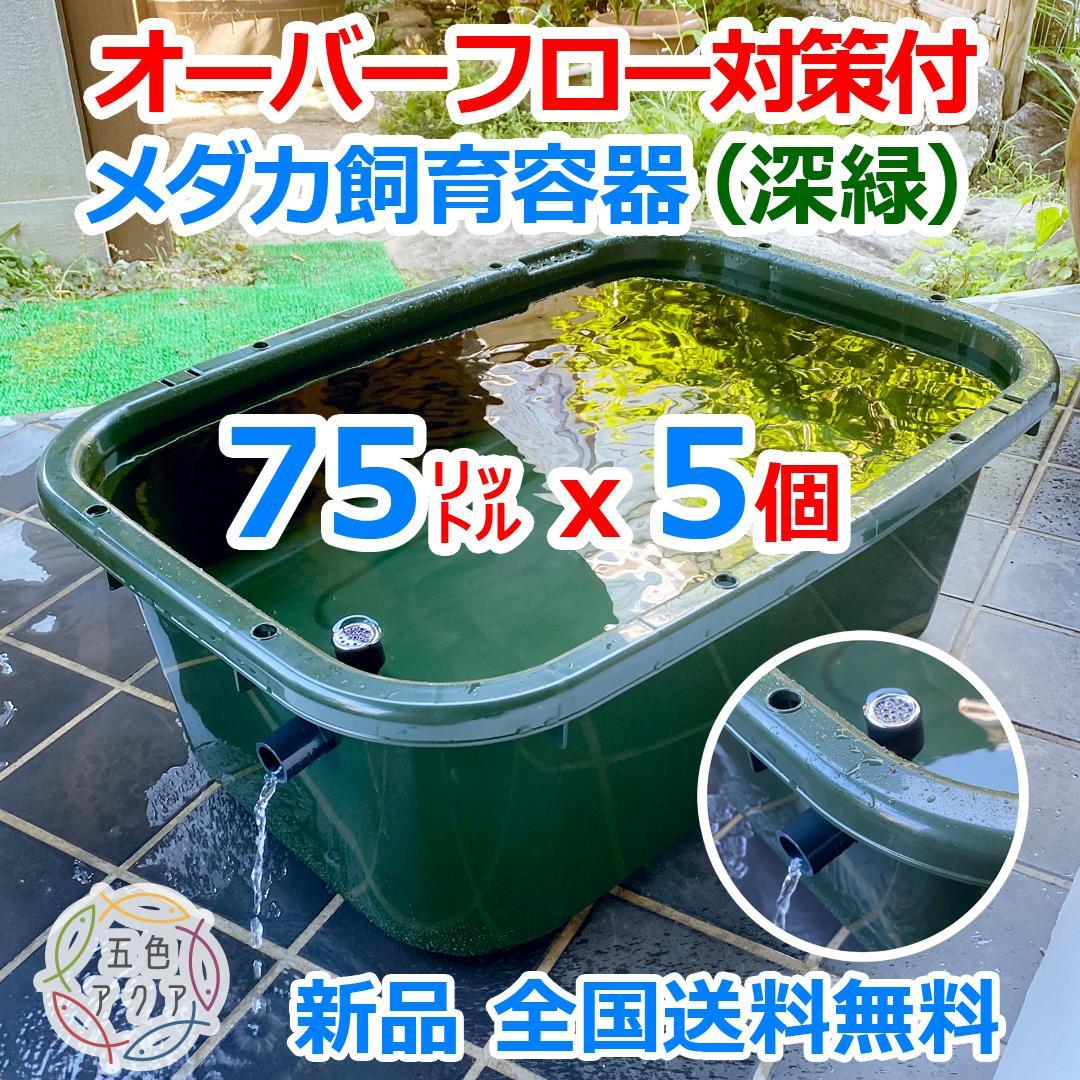 【新仕様】メダカ飼育ケース 75㍑深緑x5個 オーバーフロー対策済 金魚飼育容器