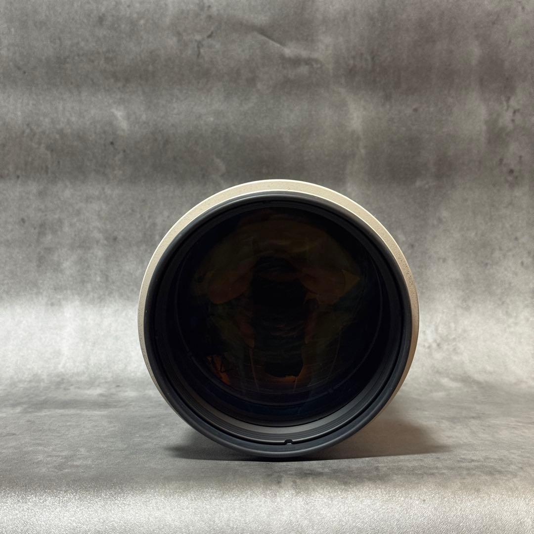 レンズ(単焦点) Canon 300mm F2.8 L IS USM