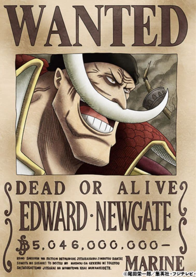 ワンピース　海軍公式手配書　旧四皇　ロジャー