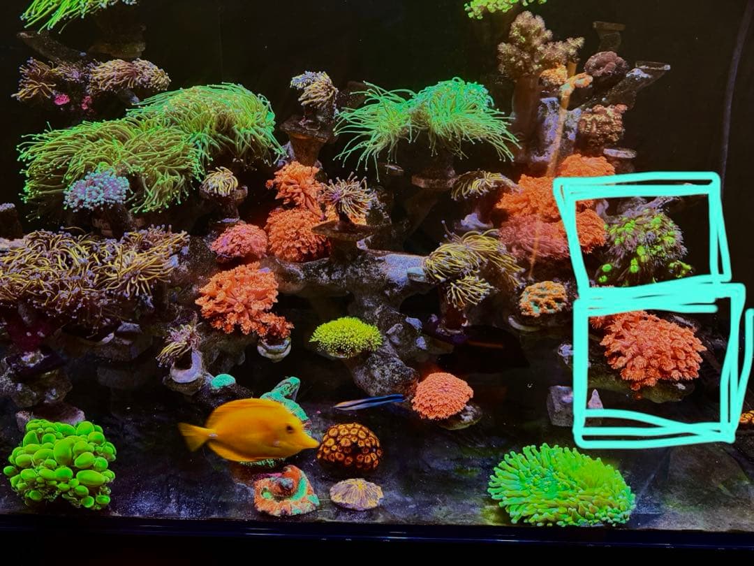 はな出品ページ