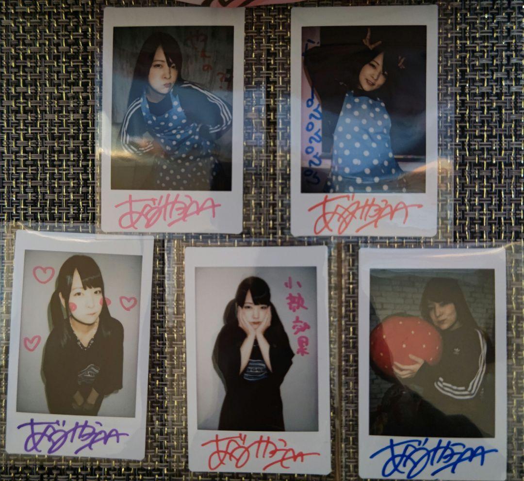 あべみかこ サイン入りチェキ 24枚セット