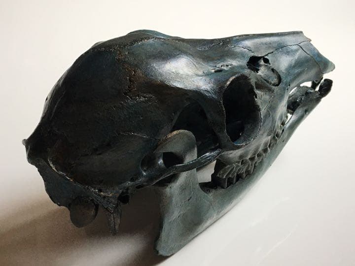 鹿頭蓋骨　頭骨　ブロンズ加工