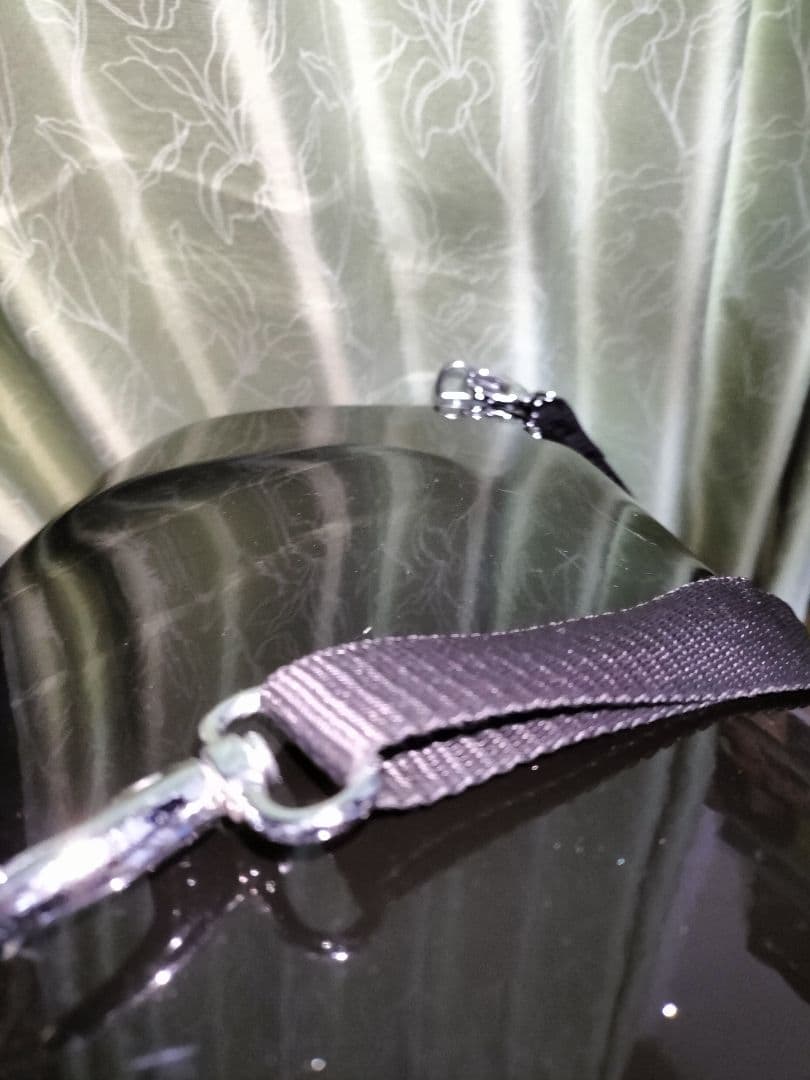 c.c.シャイニーケース　サックスケース