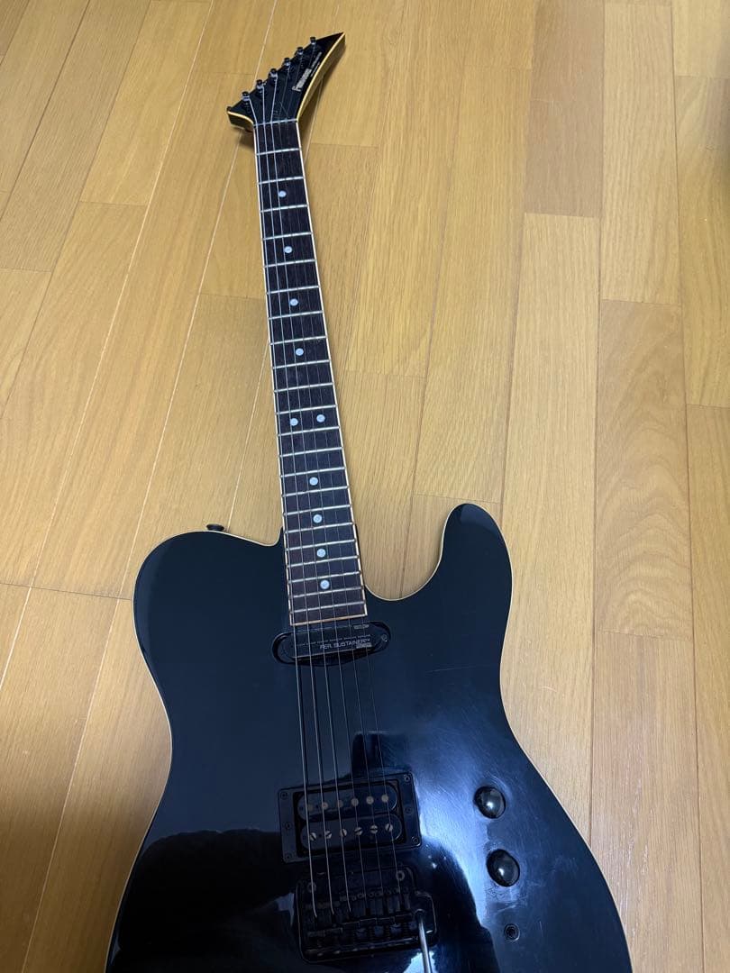 フェルナンデスTEJサスティナー布袋モデル