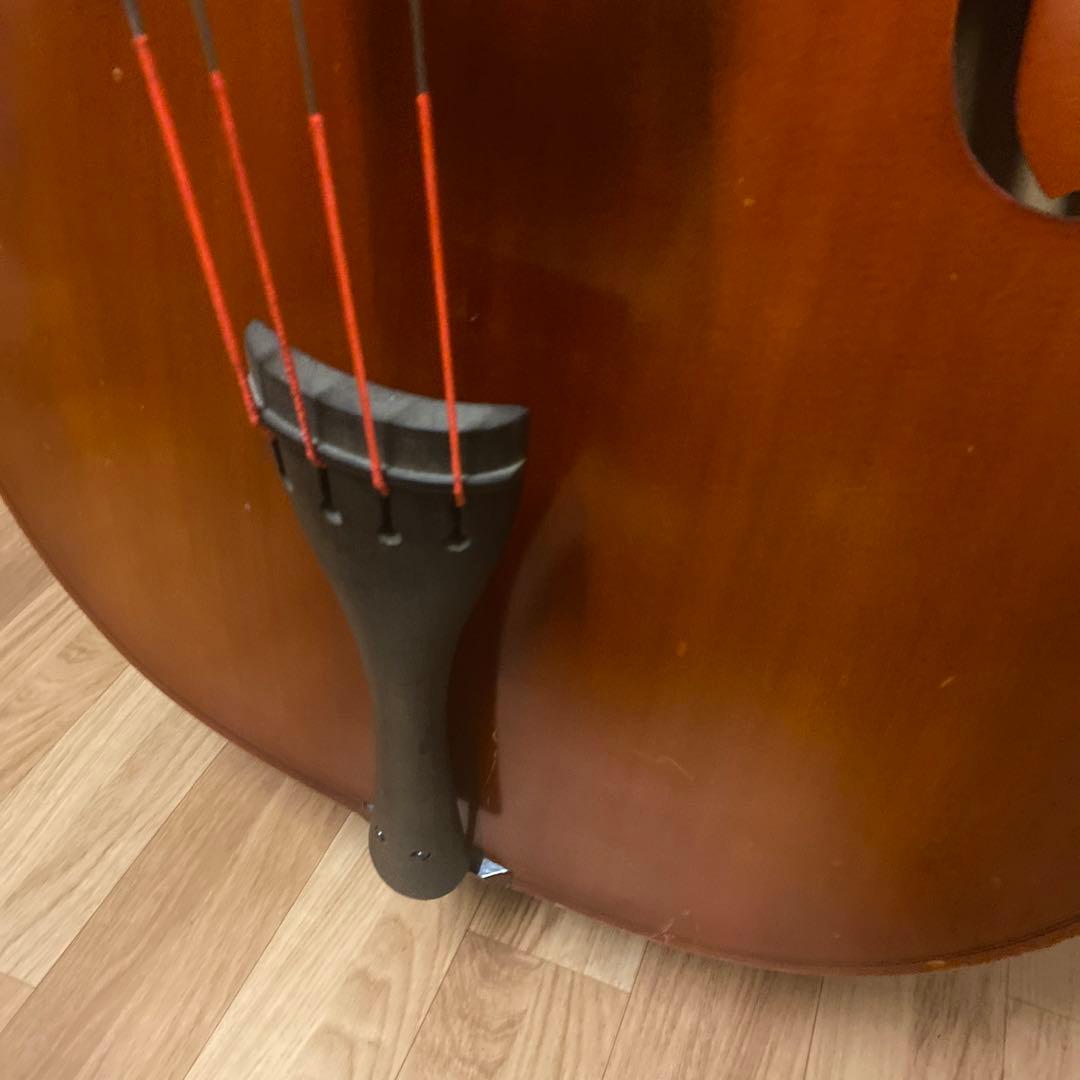 Suzuki コントラバス