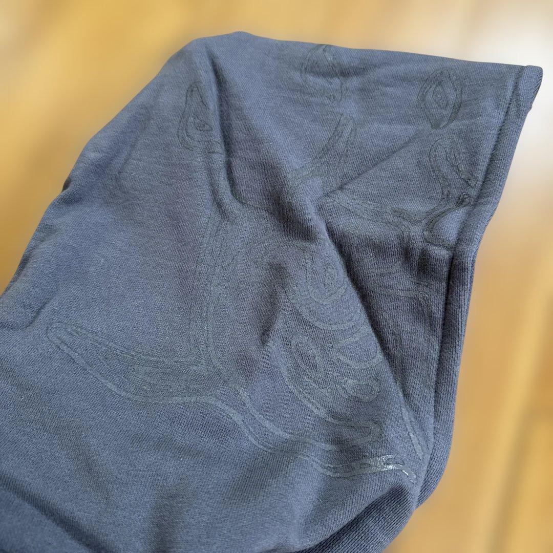 レア★リップスライムライブツアーグッズ★グレーパーカー グラフィックプリント