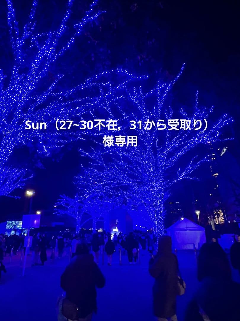 Sun（27~30不在，31から受取り）