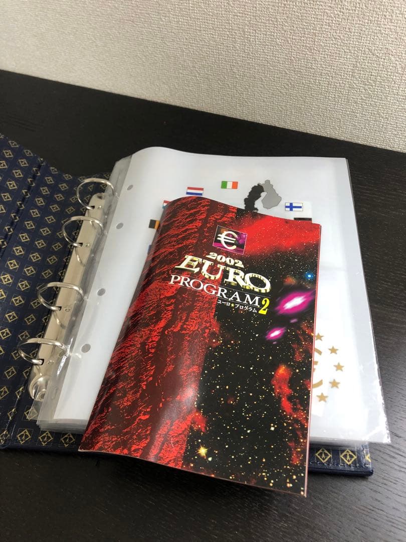 激レア極美品 2002ユーロプログラム EUROPROGRAM 泰星