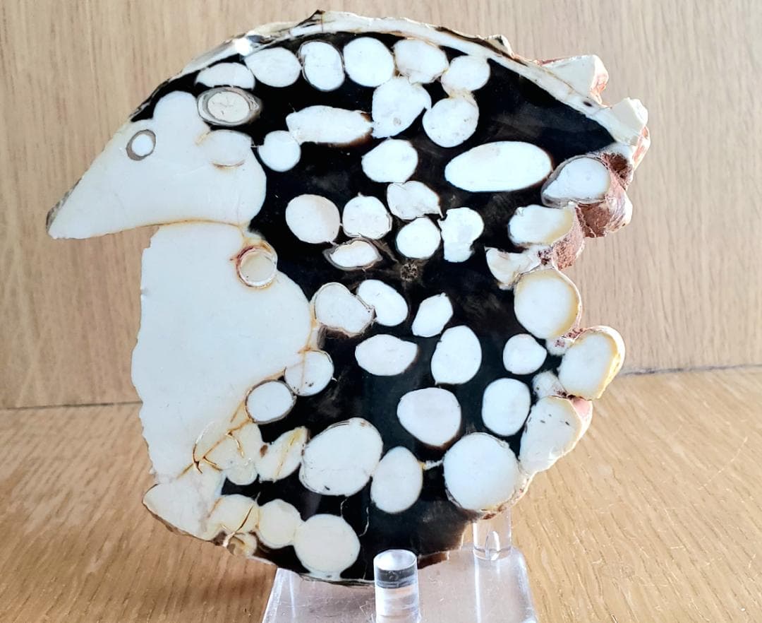 【コレクターズアイテム】ピーナッツ・ウッド