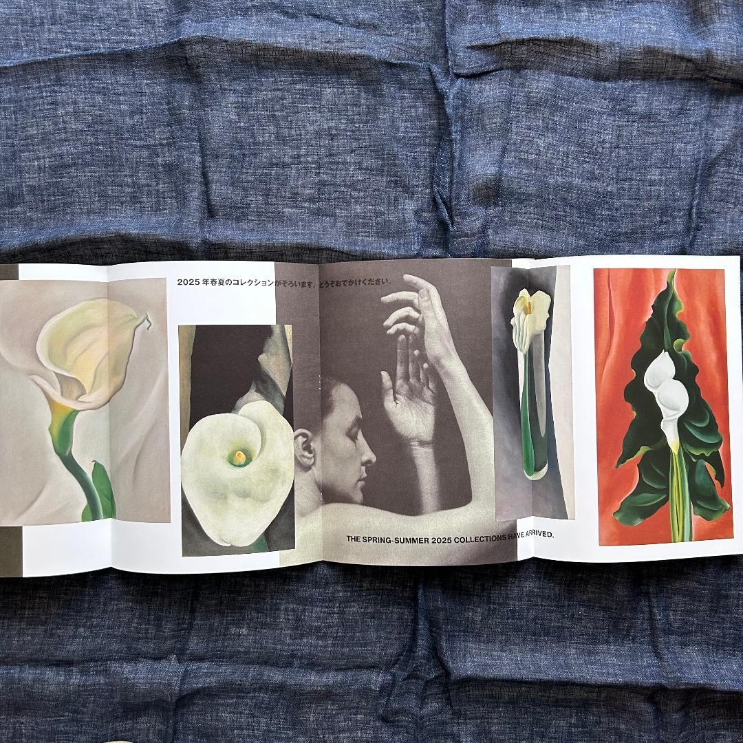 08~25 COMME des GARCONS DM No.1／18冊セット