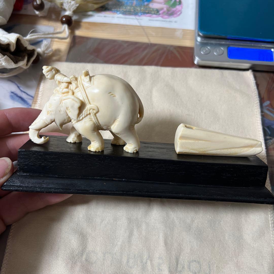 天然素材 置物 極上200g 鯨の歯風、抹香鯨風、歯類、