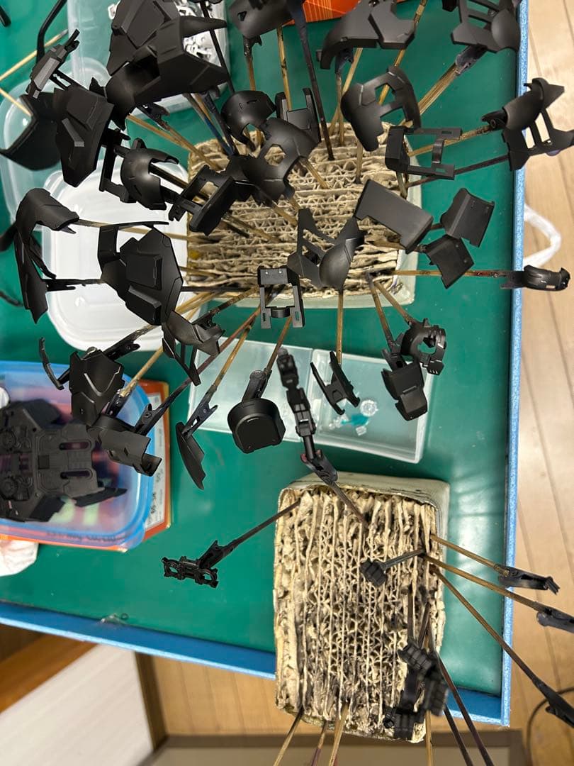 夏休み限定 全塗装 サイサリス