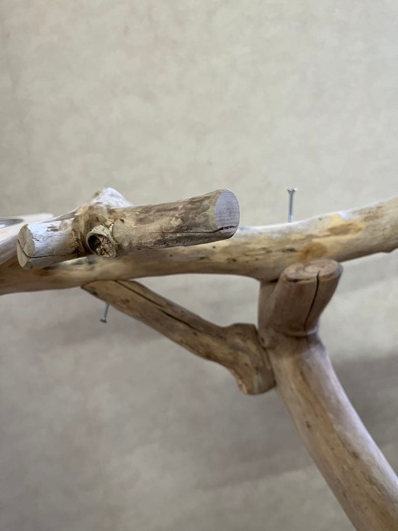 tarog13！大型インコオウム止まり木オウムスタンドパーチ