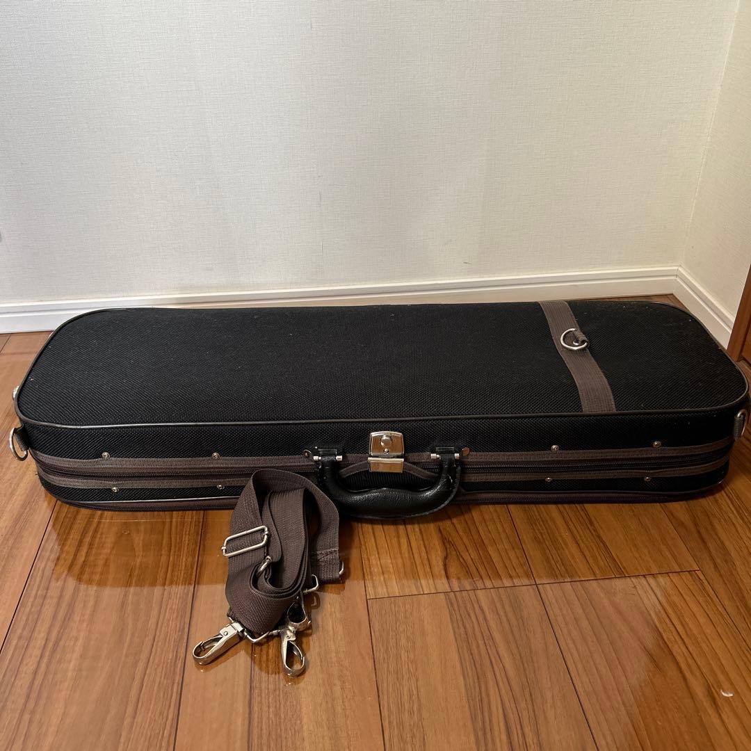 Gliga GAMA super バイオリン 1/2