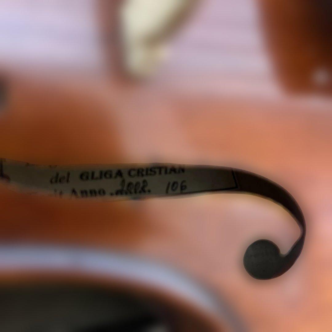 Gliga GAMA super バイオリン 1/2