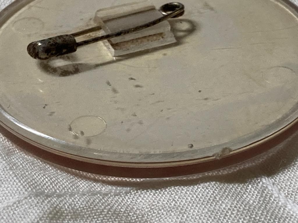 【超希少・昭和当時物】キャンディキャンディ プラスチック製バッジ ピンクの縁