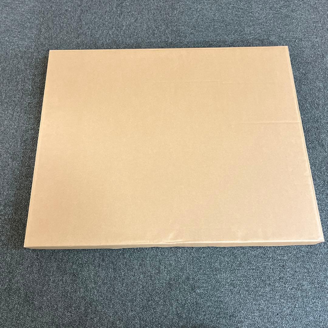 【美品・レア】アンドレブラジリエのリトグラフ 珊瑚色の隊列