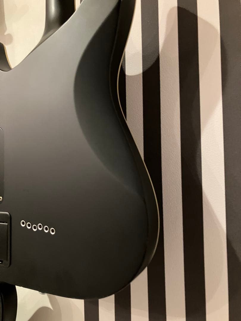 シェクター SCHECTER Damien Platinum-6