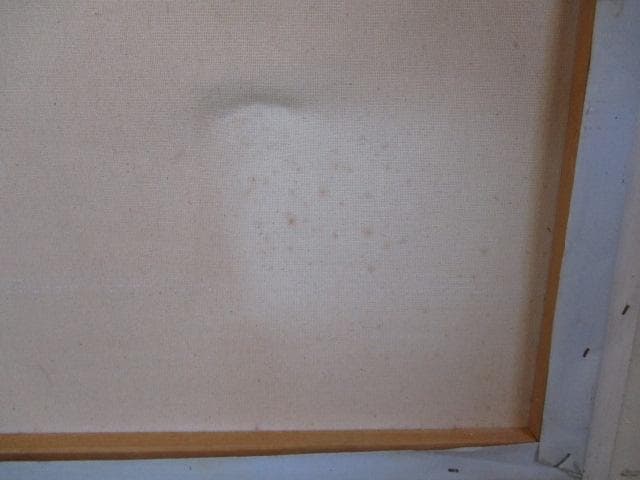 油絵　絵画　額入り　肉筆　風景画　パリ　作者不明　大きい　ガラス込み　F10号