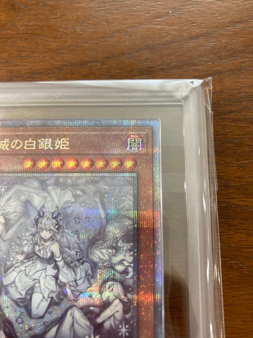 迷宮城の白銀姫 25th ars10+