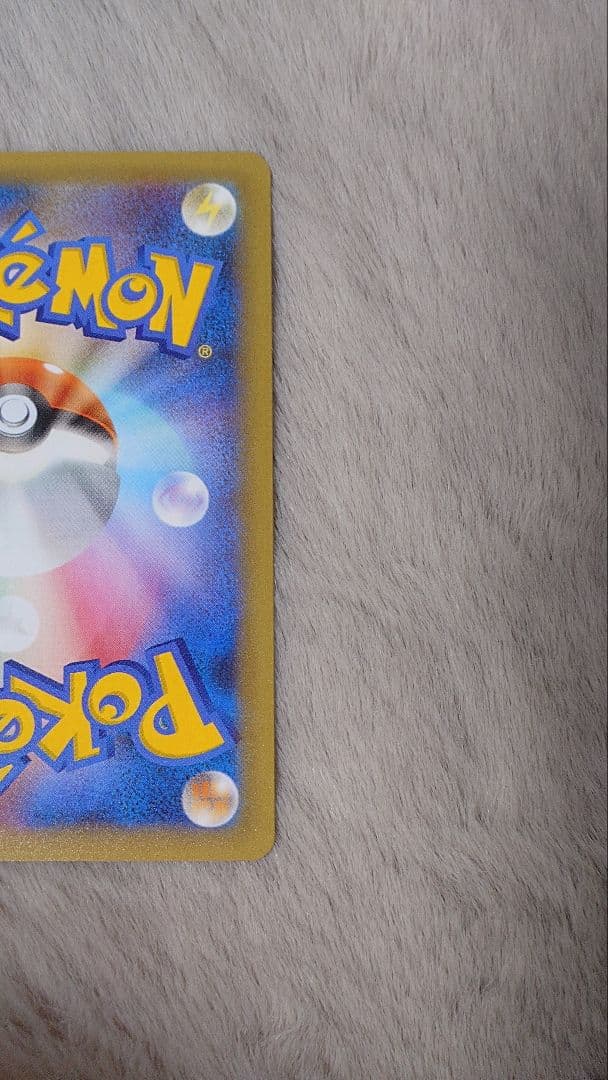 ぬ*ま様 リザードン ガブリアス　25周年