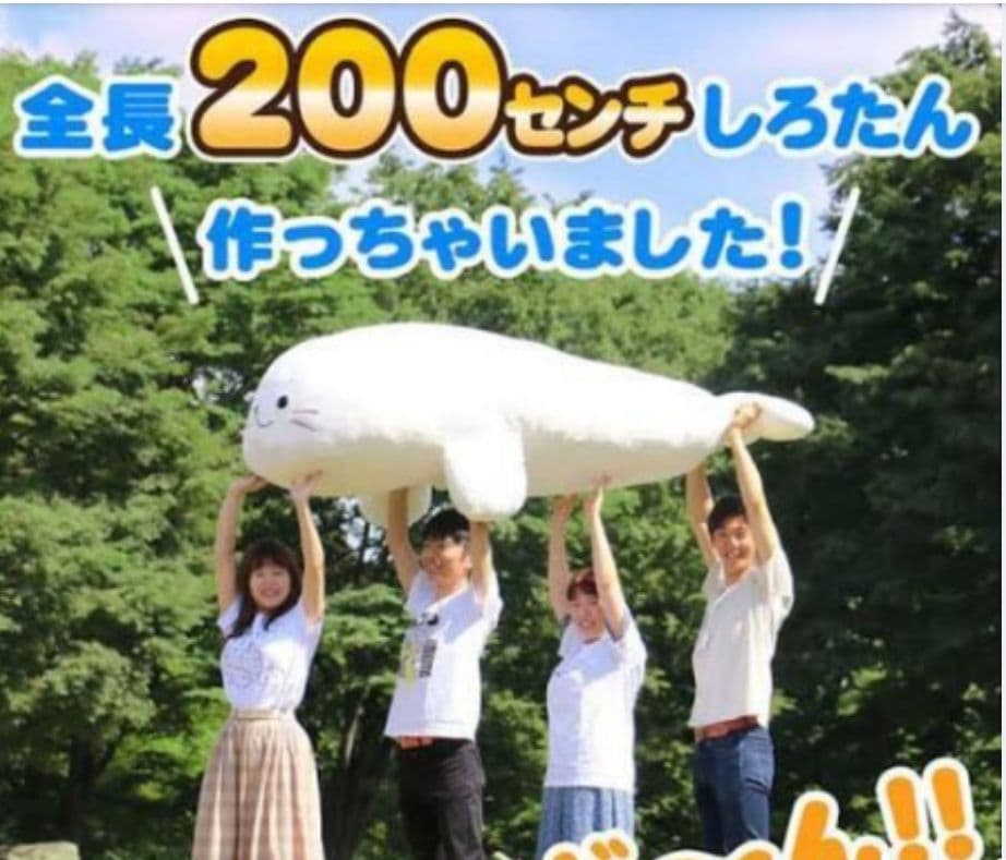 200センチ しろたんぬいぐるみ