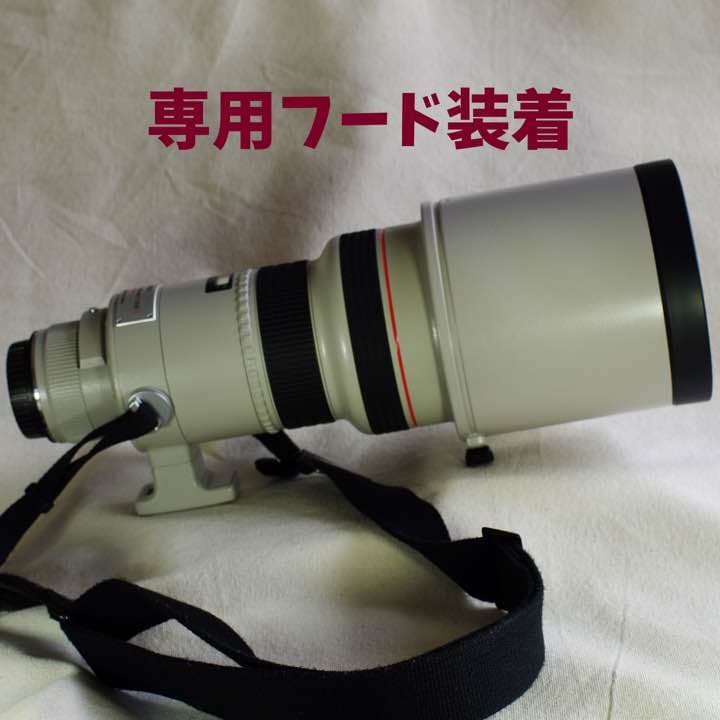 キヤノン EF300mm F2.8L USM 2xエクステンダー付