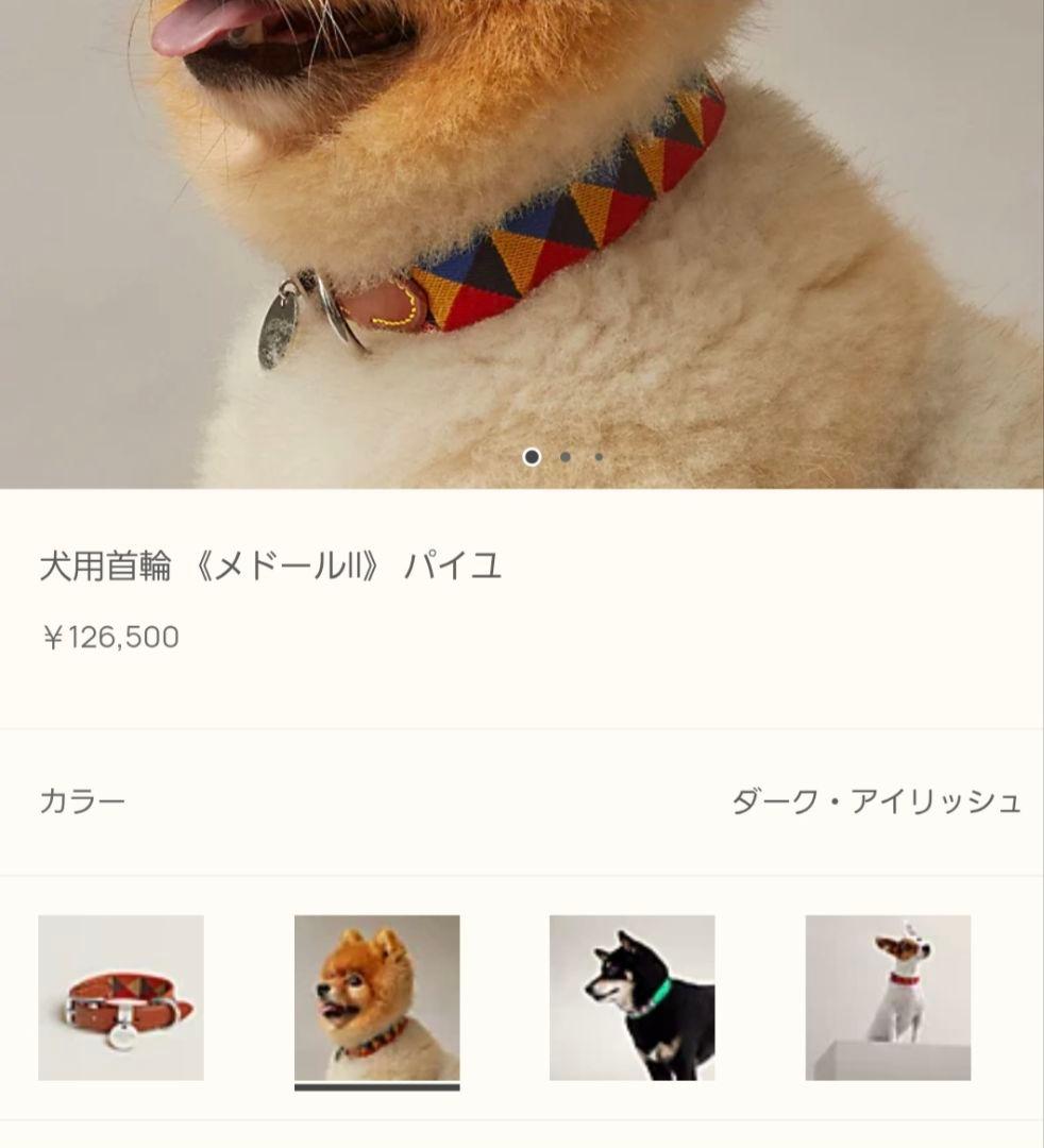 レ*オ様 エルメス HERMES 犬用首輪 メドールII パイユ　犬　首輪　ハー
