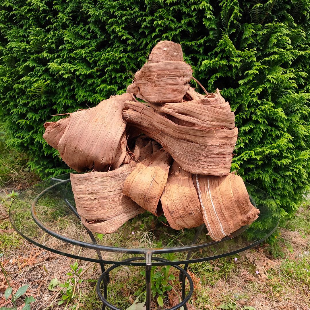 青森岩木山産 山葡萄 皮 樹皮 約2kg