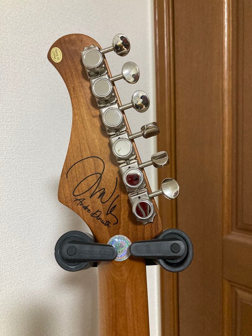 【送料込み】Bacchus TAC24AD-FMH RSM/M BLU-B